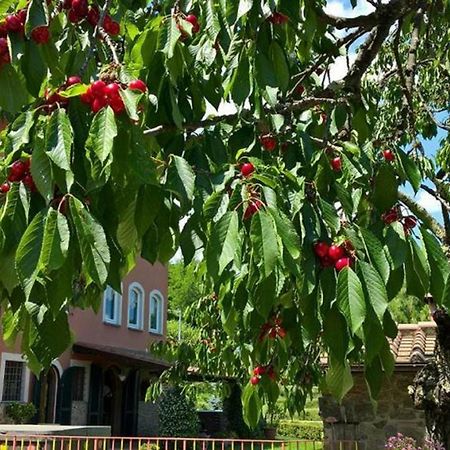 Podere Gianpaolo Пеша Екстериор снимка