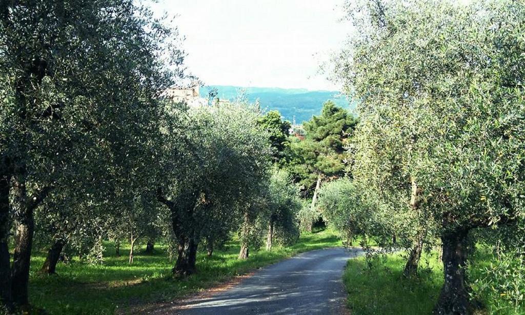 Podere Gianpaolo Пеша Екстериор снимка