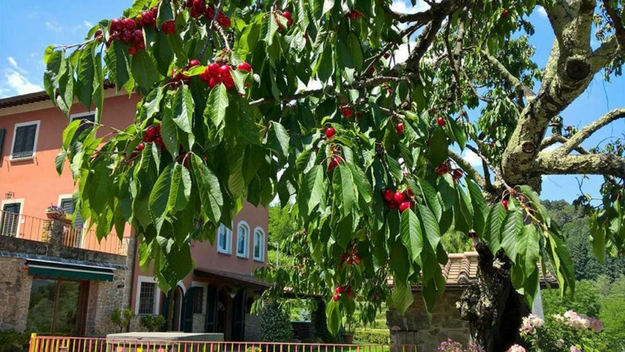 Podere Gianpaolo Пеша Екстериор снимка